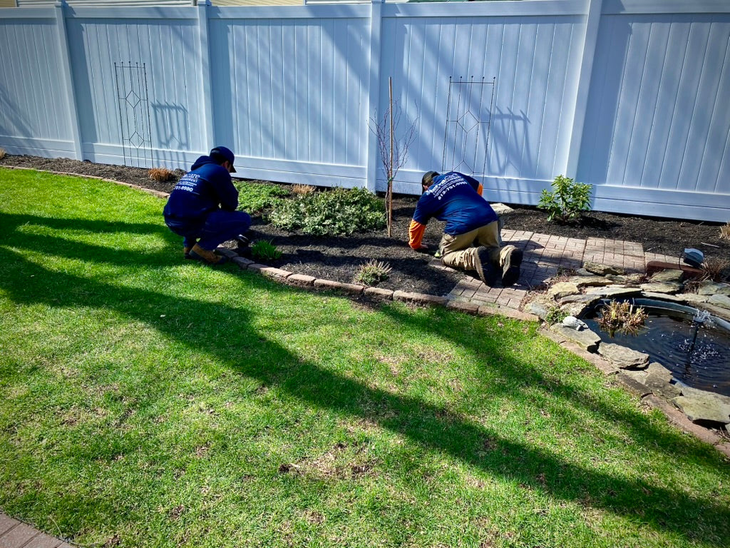 Terracare TerraCare Lawn Management – Terra Care Ottawa